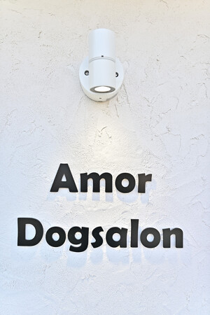 Amor Dogsalon