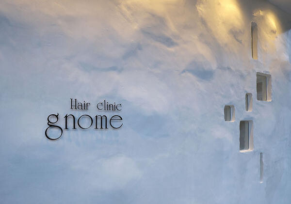 Hair Clinic gnome