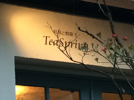 TeaSpring