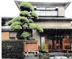 外観・内観