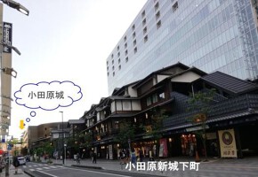 外観・内観