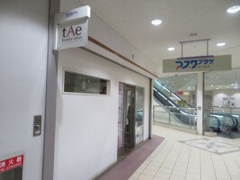 外観・内観