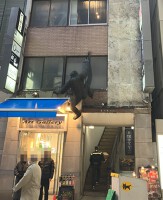 外観・内観