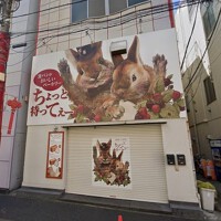 外観・内観