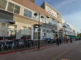 外観・内観
