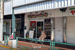 外観・内観