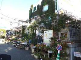 外観・内観