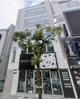 外観・内観