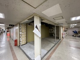 外観・内観
