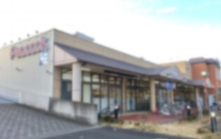 外観・内観