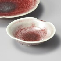 辰砂たわみ刺身千代口