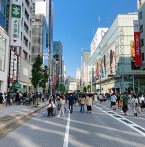 銀座の居抜き物件