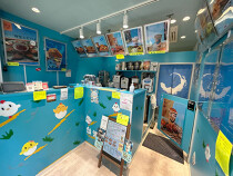 旗の台の居抜き物件