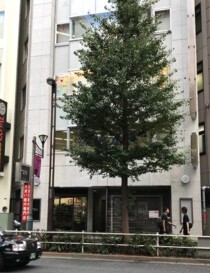 新宿の居抜き物件