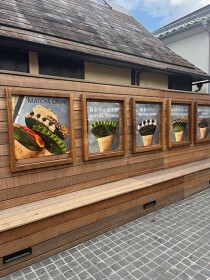 鎌倉の居抜き物件