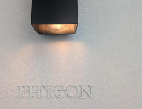 PHYEON