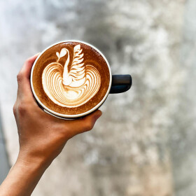 LIT COFFEE&TEA STAND