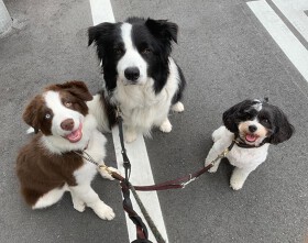 Pizzeria TAKATA BOKUSYA