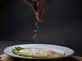 ANTIVINO