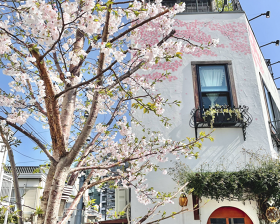桜キッチンカフェ