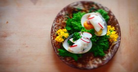 野趣先 -Yashusen-