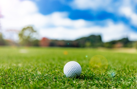 ゴールデンバレーゴルフ倶楽部レストラン/3522