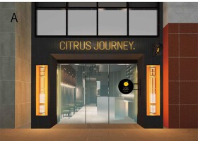 CITRUS JOURNEY