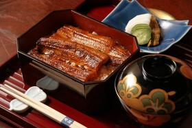 日本料理 菊屋