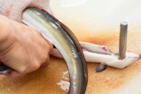 うなぎ　心斎亭