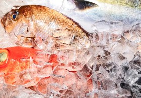 さかなの福助 曳舟店