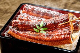 うなぎ屋　ハレルヒ