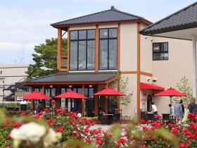 アマルフィイ　マリナブルー