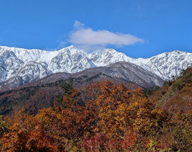 居酒屋 稗