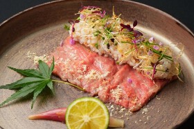 横浜　星のなる木