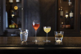 LEAP BAR 