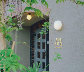 BIRD HOTEL
