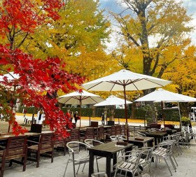 atticroomYASUKUNIGAIEN