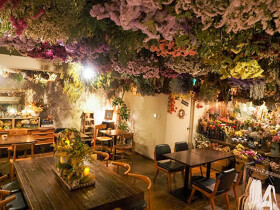 Lecoin　キタサンドウ