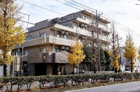 エスペランサ武蔵小杉