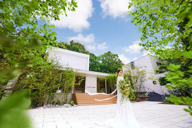 the Terrace