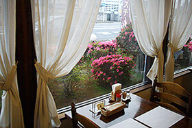 霜降牛ステーキ千