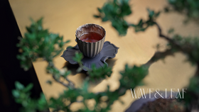 wave & leaf