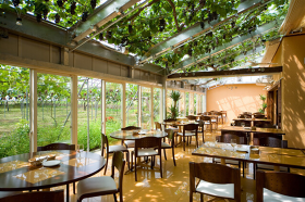 イタリアンカフェぶどうの森　本店