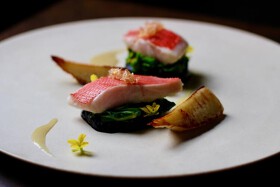 D'ORO HATSUDAI