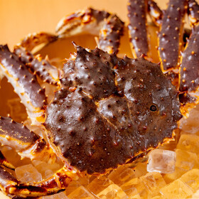 銀座 懐石 うら汐