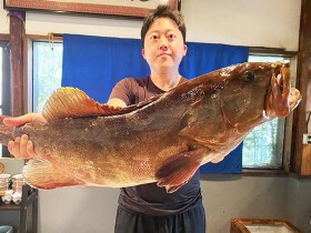 名前はまだない（仮称）