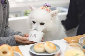 イチホテル浅草橋内レストラン