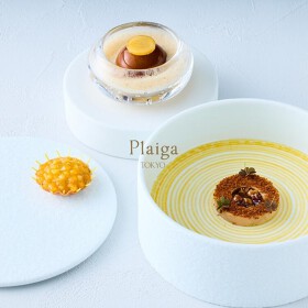 Plaiga TOKYO