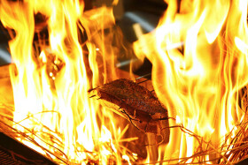 鰹と飯 明神丸 品川高輪店(仮)
