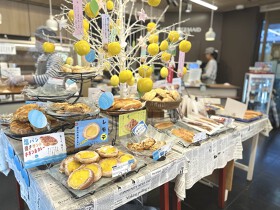 リトルマーメイド垂水店
